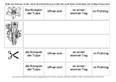 Tulpe-Sätze-umstellen-3.pdf